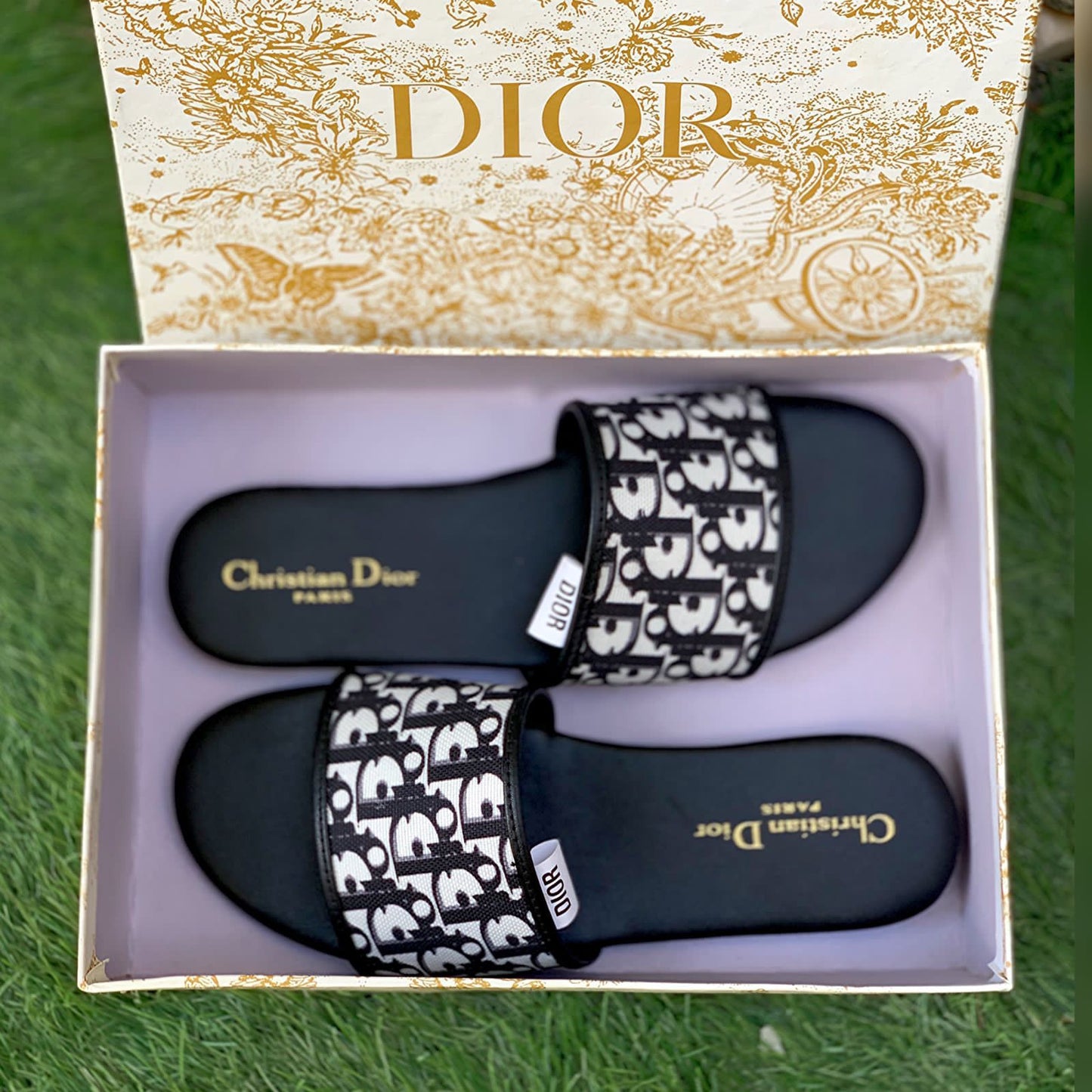 DIOR (ELITE)